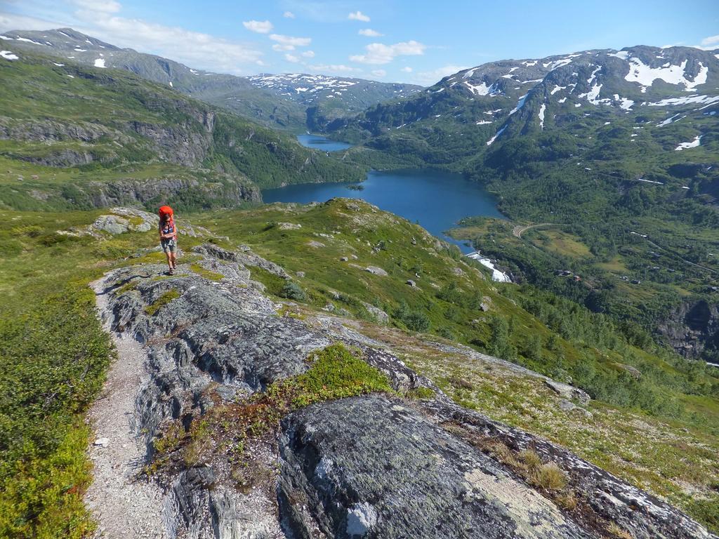Vatnahalsen Hoyfjellshotell Мирдал Екстериор снимка